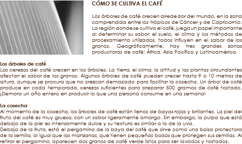 ﷯CÓMO SE CULTIVA EL CAFÉ Los árboles de café crecen alrededor del mundo, en la zona comprendida entre los trópicos de Cáncer y de Capricornio. La región donde se cultiva el café, juega un papel importante al determinar su sabor; el suelo, el clima y los métodos de procesamiento utilizados, todos influyen en el sabor de los granos. Geográficamente, hay tres grandes zonas productoras de café: África, Asia Pacífico y Latinoamérica. Los árboles de café
Las cerezas del café crecen en los árboles. La tierra, el clima, la altitud y las plantas circundantes afectan el sabor de los granos. Algunos árboles de café pueden crecer hasta 9 o 10 metros de altura, aunque se procura que no crezcan demasiado para facilitar la cosecha. Un árbol de café produce en cada temporada, cerezas suficientes para preparar 500 gramos de café tostado. ¡Demora un año entero en producir lo que una persona consume en una semana! La cosecha Al momento de la cosecha, los árboles de café están llenos de bayas rojas y brillantes. La piel del fruto del café es muy gruesa, con un sabor ligeramente amargo. Sin embargo, la pulpa que está debajo de la piel es intensamente dulce y su textura es similar a la de la uva. Debajo de la fruta, está el pergamino de la baya del café que sirve como una bolsa protectora de la semilla, al igual que las manzanas, que tienen pequeñas bolsas que protegen sus semillas. Al retirar el pergamino, aparecen dos granos de café verde listos para ser lavados y tostados.
