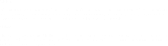 Misión: Brindar productos de alta calidad a bajo precio, donde en los planes de expansión se considera ser inclusivos, nuestras marcas están dirigidas a todos los segmentos haciendo un mix de calidad y precio, por ende generamos una oferta de valor para nuestros clientes. Visión: Llegar a ser una compañía líder en el mercado peruano en crear y operar marcas de comida rápida en formatos de módulo y tiendas, a consecuencia de nuestros altos estándares de calidad en producto y servicio.